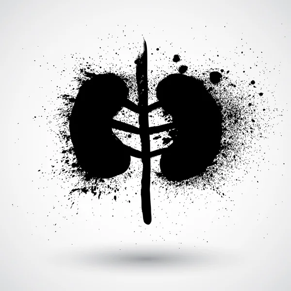 Human kidneys icon — Stock Vector