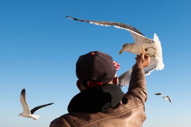 Adam Lizbon, Portekiz 'de uçan bir deniz kuşuna ekmek veriyor.