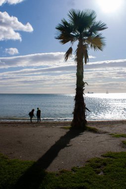 Palmiye ağacı ve sahildeki gölgesi. Solda iki kişi var.