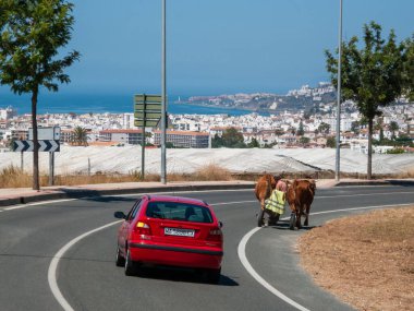 20.06.20. Nerja, İspanya. Halka açık asfalt yolda öküz arabası süren yaşlı bir adam. Arkasında kırmızı araba var.