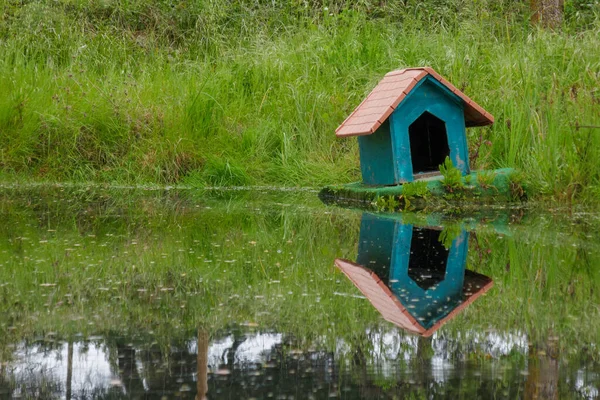 Duck House Doghouse Floatin Lake Reflection Grass — Stock Photo, Image