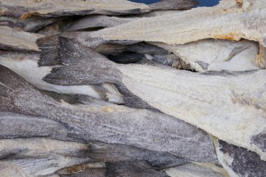 Tuzlu morina ya da morina balığı ya da stok balığı. Makro detay. Kerevit kuyruğu.