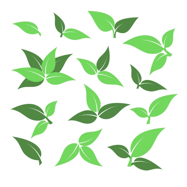 Conjunto Ícones Folhas Verdes Folhas Fundo Branco Logotipo Ecológico Ilustração — Vetor de Stock