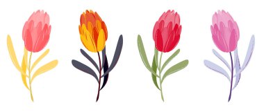 Vector spring or summer flowers. Flat tulips set multicolor. Hand-drawn design elements for easter, mother's day, woman's day, 8 march greeting card