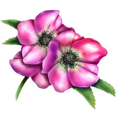 Beyaz arka planda yeşil yapraklı el yapımı pembe çiçek. Kiraz ya da Japon sakura çiçeği. Anneler Günü için yaz çiçeği illüstrasyonu, kadınlar alışverişi, kozmetik ürünler.