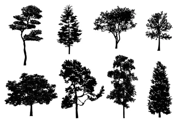 Detailed Tree Silhouettes Set Black Trees Silhouettes Isolated White Background — Stock Vector