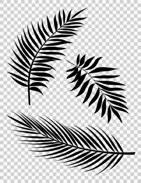 Palm Leaves Vector Background Illustration Eps10 Conjunto Silhuetas Folhas Palmeira — Vetor de Stock