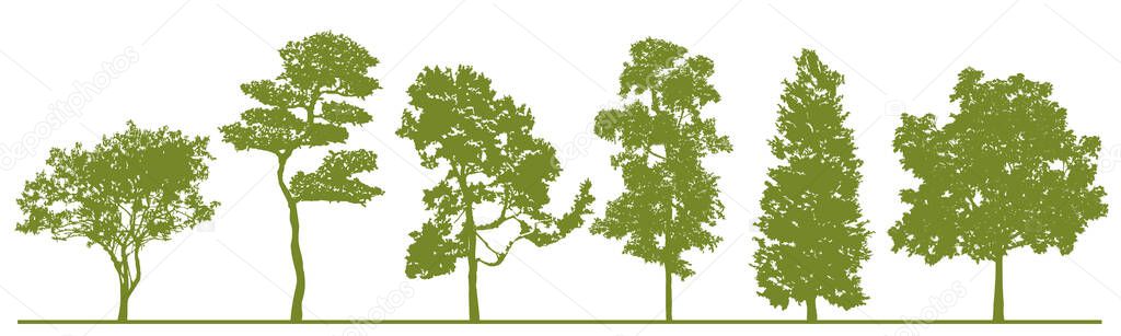 Detailed tree silhouettes. Set of green trees in   silhouettes isolated on white background. Colletion of different shapes forest trees. Elements are  moveable for your design. Vector EPS10
