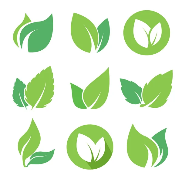 Conjunto Logotipo Hojas Verdes Para Productos Ecológicos Bio Naturales Farmacia — Archivo Imágenes Vectoriales