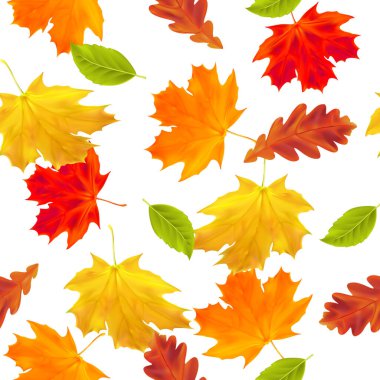 Sonbahar tebrik kartı, hediye kağıdı, dolgu, duvar kağıdı, web sayfası arka planı için Orange, Beige, Brown ve Yellow 'da sonbahar akçaağacı ve meşe yaprakları ile kusursuz desen.