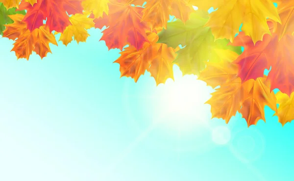 Jesienne Tło Liśćmi Realistyczne Sezonowe Liście Klonu Światłem Słonecznym Niebem — Wektor stockowy