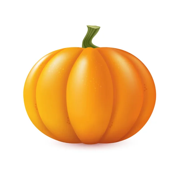 Autumn Pumpkin Vector Illustration Closeup Isolated White Background Halloween Symbol — Stock Vector