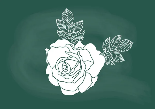 Rose, vector of the rose flower drawing on blackboard chalk — Stock Vector