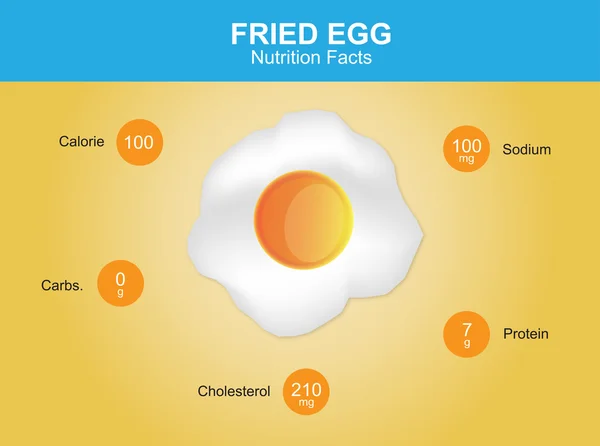 Fried egg nutrition facts, fried egg with information, fried egg vector — Stock Vector