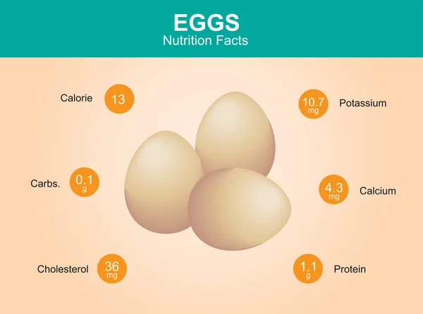 Egg nutrition facts, egg with information, eggs vector — Stock Vector