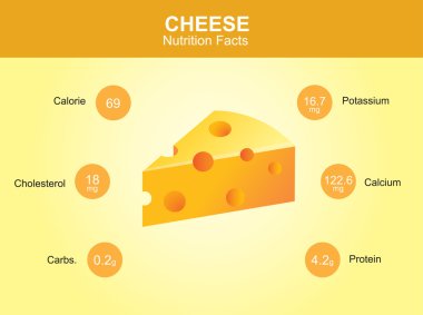 cheese nutrition facts, cheese with information, cheese vector