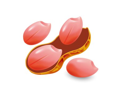 peanuts, peanuts vector, isolated peanuts