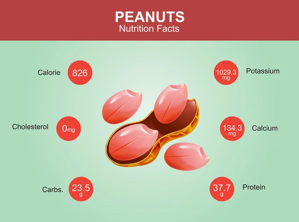 Peanuts nutrition facts, peanuts with information, peanuts vector — Stock Vector