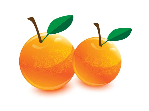 Portocaliu, fructe portocalii cu frunze verzi, vector portocaliu — Vector de stoc