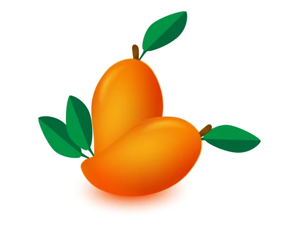 Mango isolated, mango vector, mango — 图库矢量图片