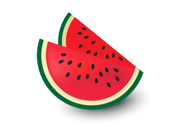 Watermelon, watermelon vector, isolated vector — Stock Vector