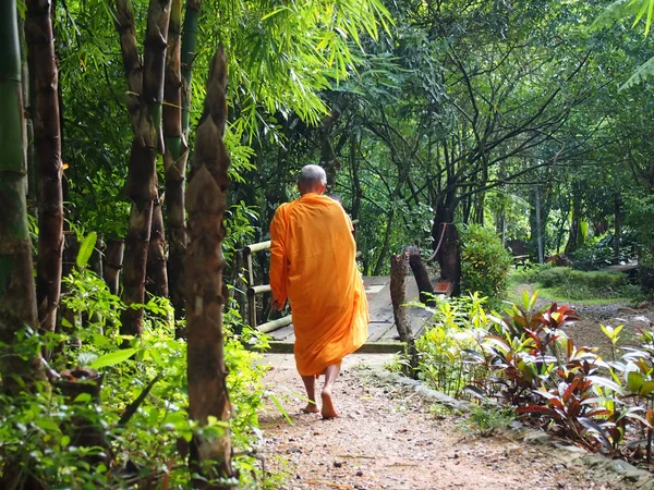 Monge budista Caminhando para receber comida pela manhã em Kanchanaburi, Tailândia. Monge budista Tailândia, Monge . — Fotografia de Stock