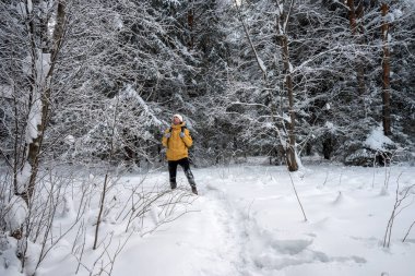 Sarı ceketli bir gezgin kış ormanlarında bir patika boyunca yürür..