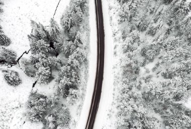  Kış ormanlarında karla kaplı bir yol..