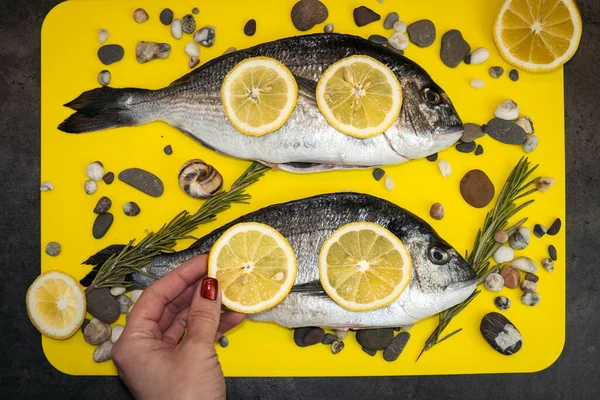 Deniz ürünleri. Limon dilimli taze dorada balığı, sarı arka planda biberiye..