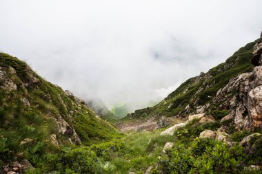 Yazın Kafkas dağları. Dağların tepesinde bulutlu dağlık çayırlar..