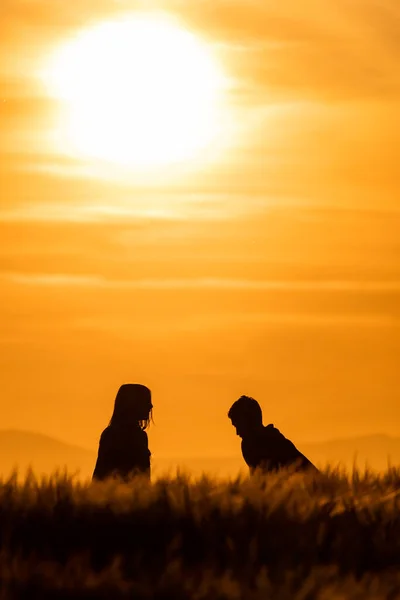 Silhouettes Girl Boy Cereal Field Sunset Sky Fire — Stock Photo, Image