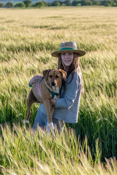 Mısır gevreği tarlasında köpeği tutan şapkalı genç bir kız..