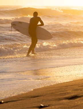 Altın gün batımında sahilde koşan sörfçü.