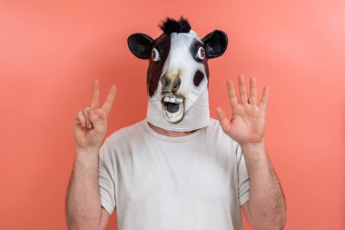 İnek kılığında biri pembe arka planda parmaklarındaki yedi numarayı sayıyor.