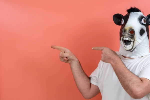 person disguised as a cow pointing with both hands on a pink background