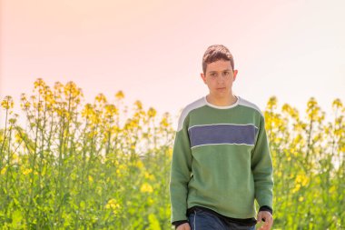 Sarı kolza tohumu tarlasında yürüyen genç bir çocuk.