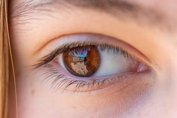 Detail Des Braunen Auges Eines Mädchens Mit Spiegelung Wimpern Augenbrauen — Stockfoto