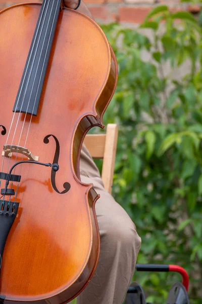 Kopyalama alanı için alanı olan çello çalan kişinin yakın plan görüntüsü