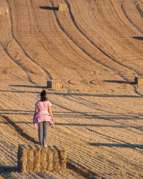 Latina Woman Pink Shirt Black Hair Contemplating Harvested Field Straw — Stock Photo, Image