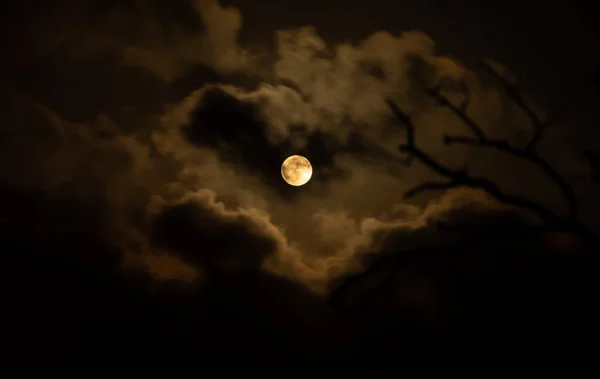 Halloween Fullmåne Mitt Dystra Moln Och Bladlösa Trädgrenar Skapar Kuslig — Stockfoto