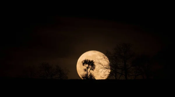 Volle Maan Oprijzend Achter Horizon Een Berg Silhouet Door Bomen — Stockfoto