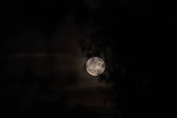 Halloween Full Moon Amidst Gloomy Clouds Leafless Tree Branches Creating — Stock Photo, Image