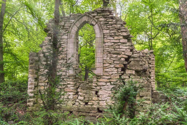 Ruines profondes dans la forêt avec la lumière du soleil — Photo