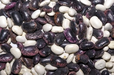 Pinto fasulye dağınık