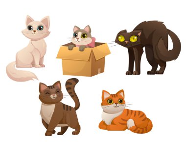 Collection of five adorable cartoon cats in different colors and poses, one in a cardboard box on a white background. Concept of playful and happy pets. Vector illustration