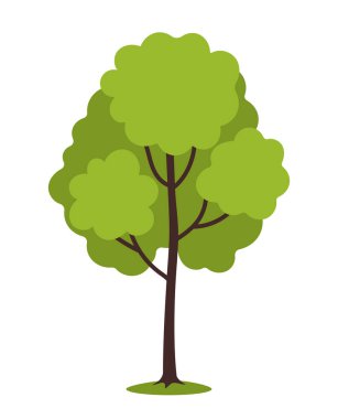 Basit çizgi film tarzı yeşil yapraklı ağaç, kahverengi gövdeli, beyaz arka planda izole edilmiş. Doğa, büyüme, çevre ve açık hava hayatı kavramı. Vektör illüstrasyonu