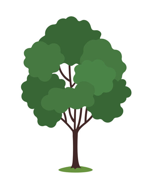 A simple green tree with full leafy crown and brown trunk in flat cartoon style, displayed on a white background. Concept of nature, forest, and environment. Vector illustration