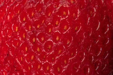 Çilek soyutlanmış. Çilek üstüne beyaz