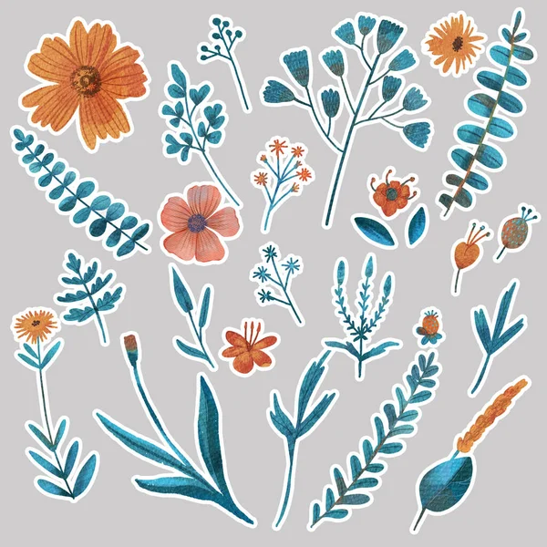 Stiker set with watercolor painted different type of herbs and orange flowers. Can be used for as decorative elements for textile and fashion patterns, design elements, templates, web design, stickers.
