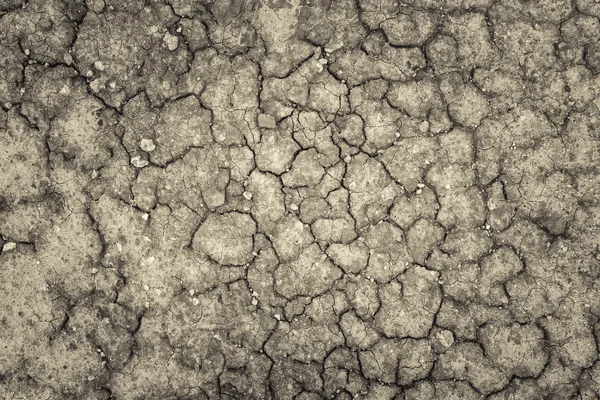 Tanah dengan tanah yang retak kering, kekurangan air musim . — Stok Foto